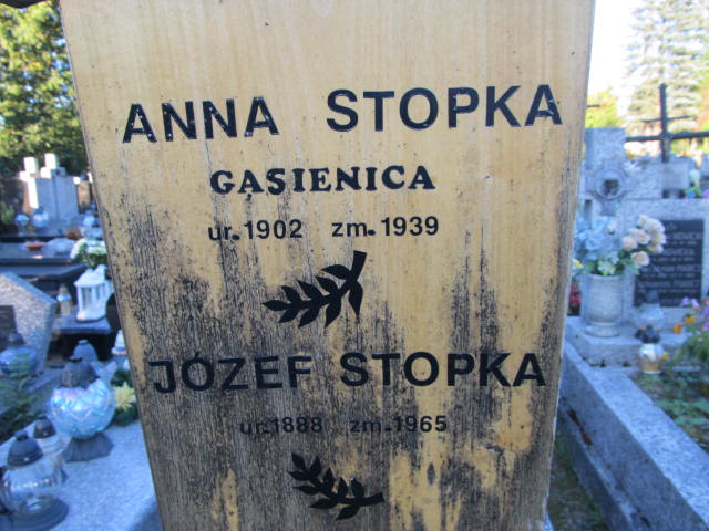 Anna Stopka Gąsienica 1901 Zakopane - Grobonet - Wyszukiwarka osób pochowanych