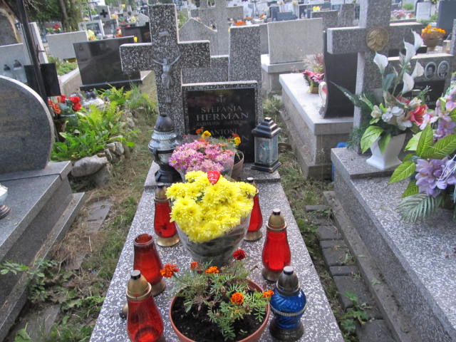 Grób Antoni Herman