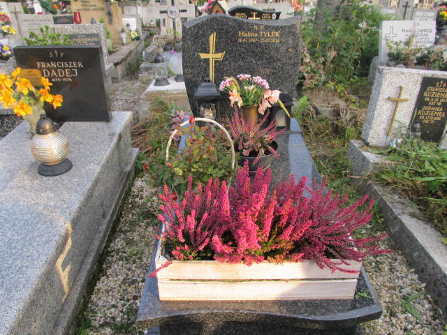 Grób Halina Tylek