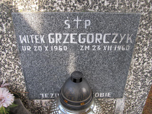 Witold Grzegorczyk 1960 Zakopane - Grobonet - Wyszukiwarka osób pochowanych