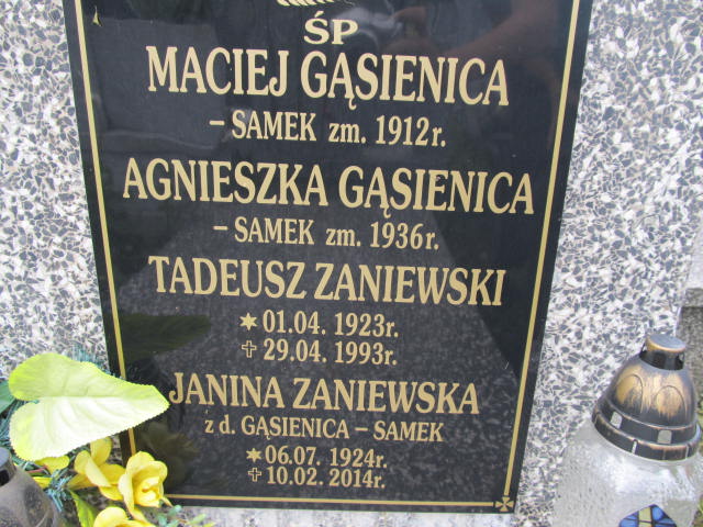 Agnieszka Gąsienica Samek Zakopane - Grobonet - Wyszukiwarka osób pochowanych