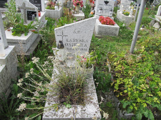 Grób Larysa Osiecka