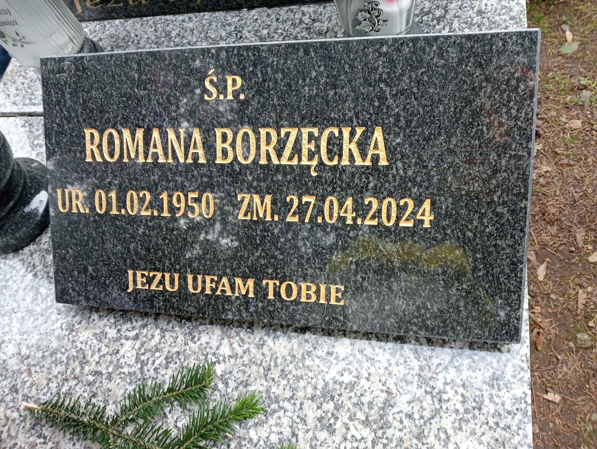 Józefa Malarz  Zakopane - Grobonet - Wyszukiwarka osób pochowanych