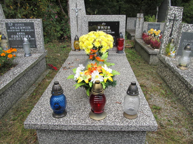 Grób Władysława Brus